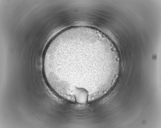 X0000093390839200711011309