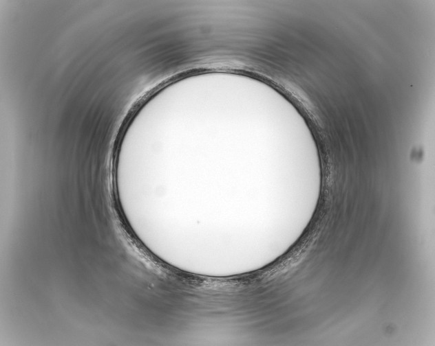 X0000093390840200711011309