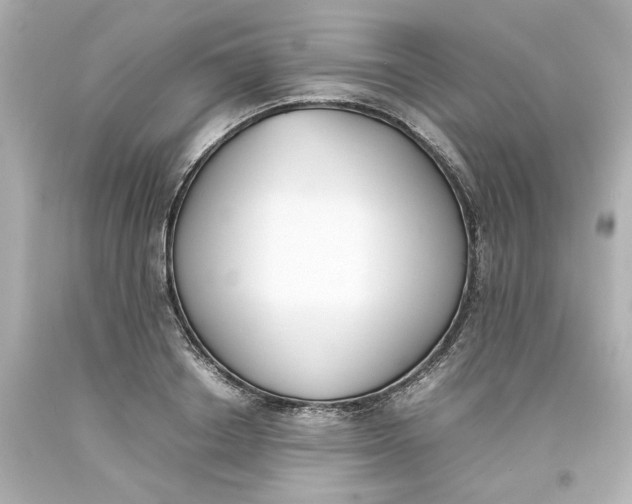 X0000093390842200711011309