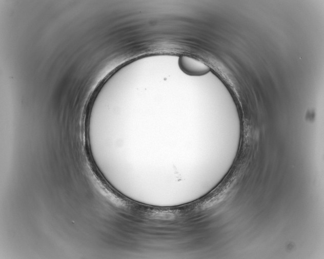 X0000093390843200711011309