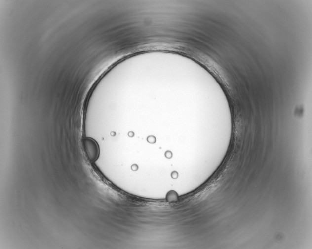 X0000093390844200711011309