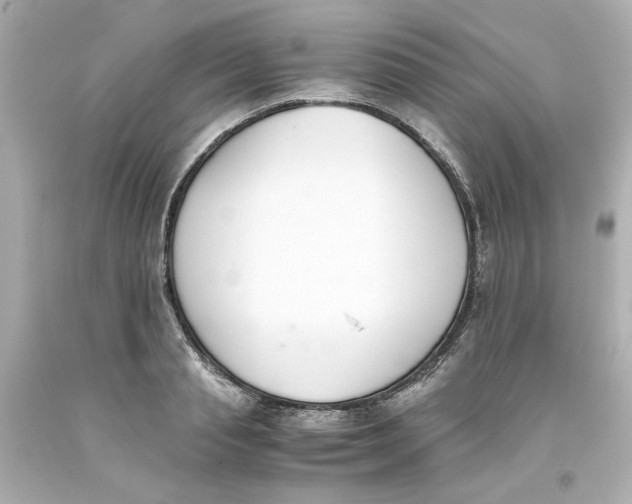 X0000093390845200711011309