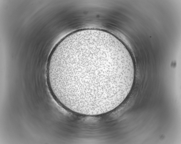 X0000093390847200711011309