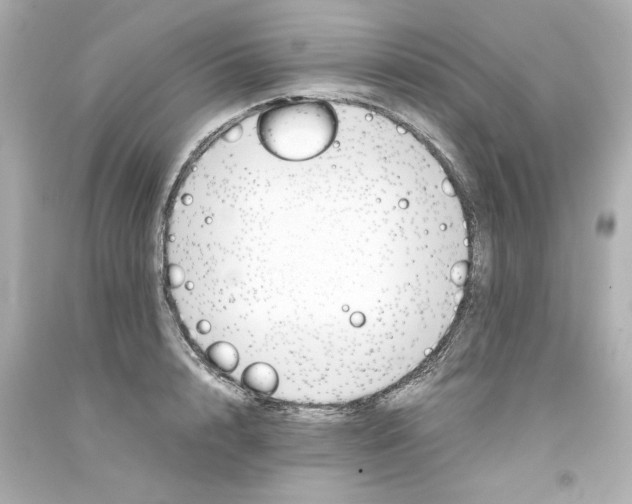 X0000093390848200711011309