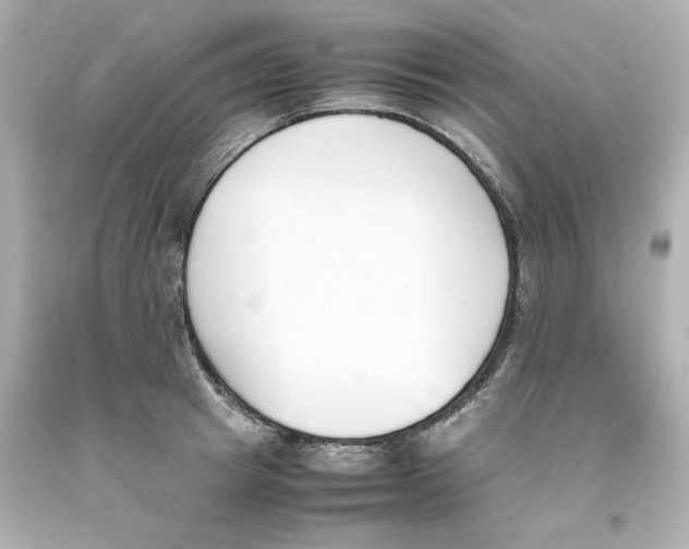 X0000093390849200711011309