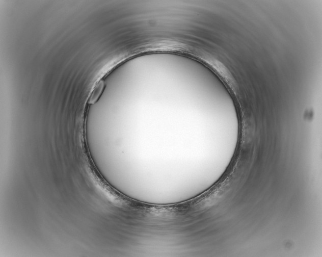 X0000093390850200711011309