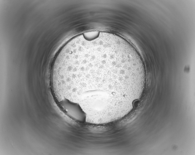 X0000093390851200711011309