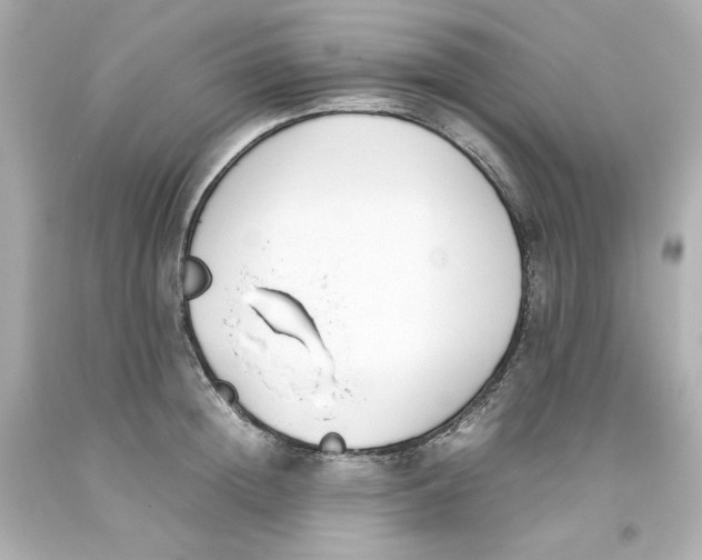 X0000093390852200711011309