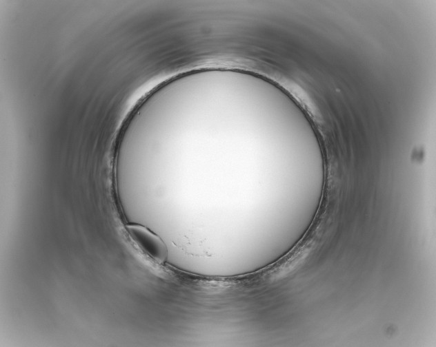 X0000093390854200711011309