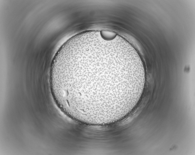 X0000093390855200711011309