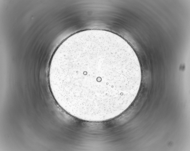 X0000093390856200711011309