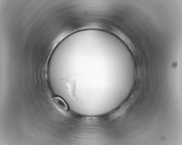 X0000093390858200711011309