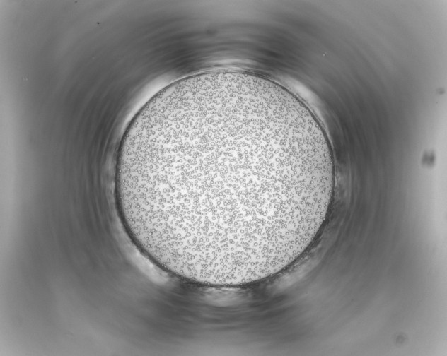 X0000093390859200711011309