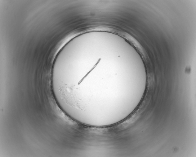 X0000093390860200711011309