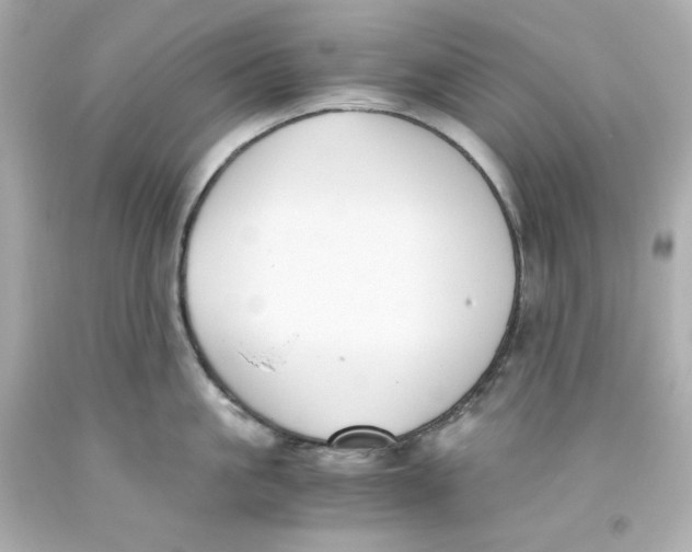 X0000093390861200711011309