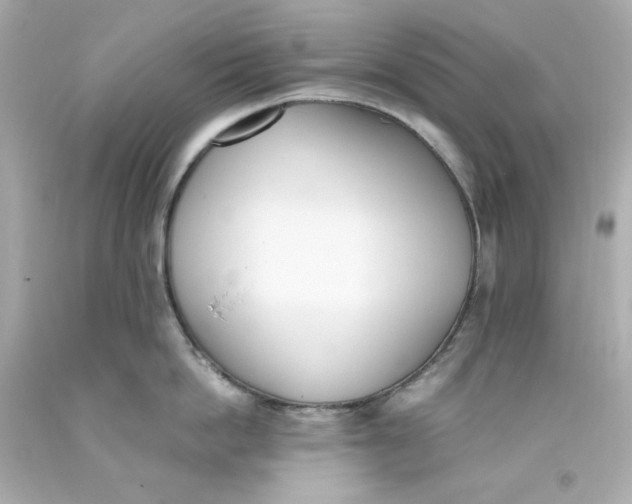 X0000093390862200711011309