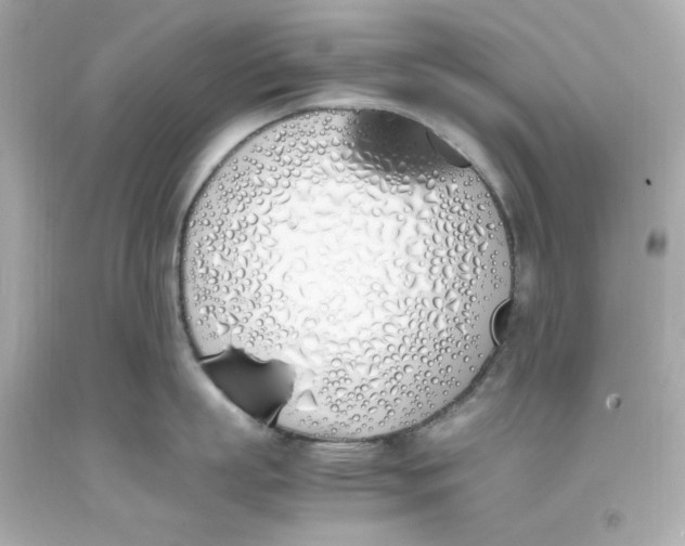 X0000093390863200711011309