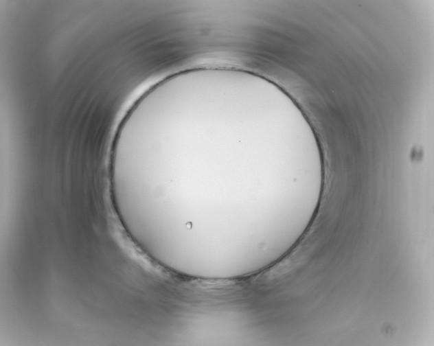 X0000093390864200711011309