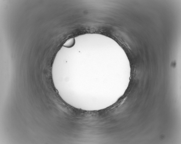 X0000093390865200711011309