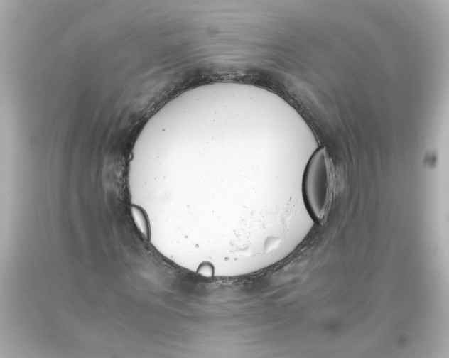 X0000093390867200711011309