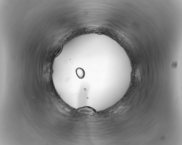 X0000093390868200711011309