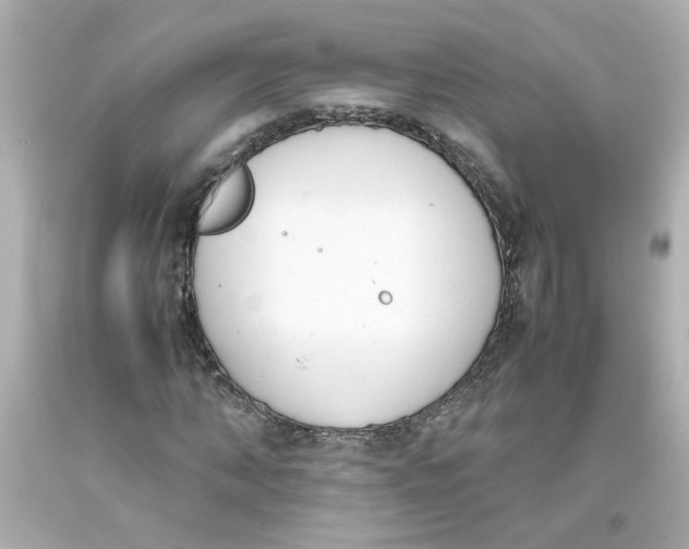 X0000093390870200711011309