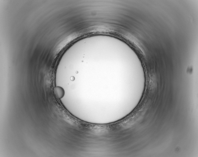 X0000093390874200711011309