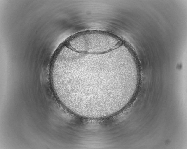 X0000093390875200711011309