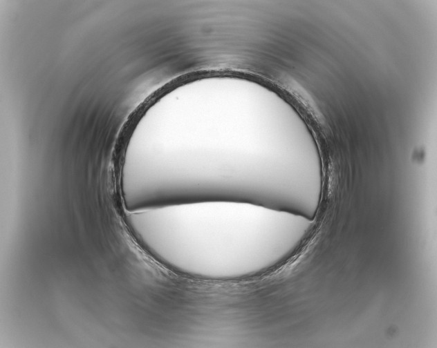 X0000093390876200711011309