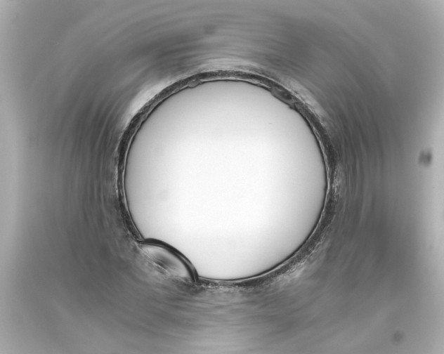 X0000093390877200711011309