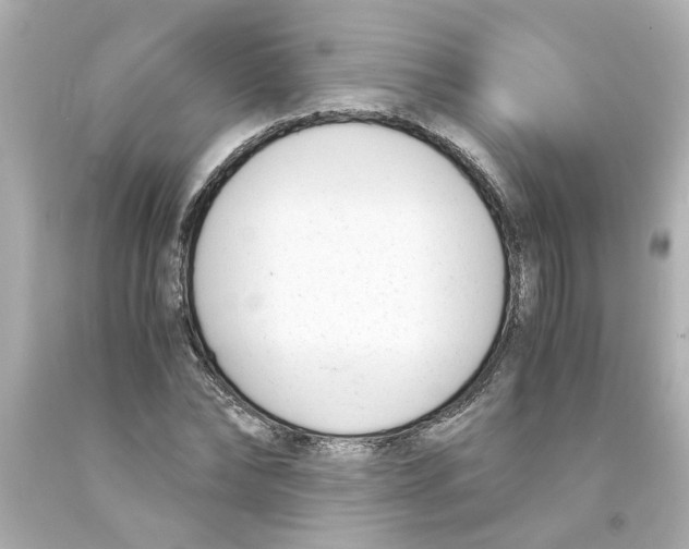 X0000093390878200711011309