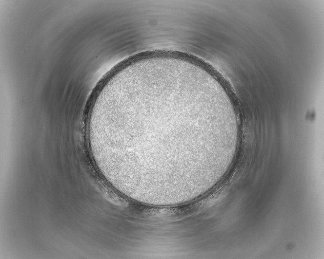 X0000093390879200711011309