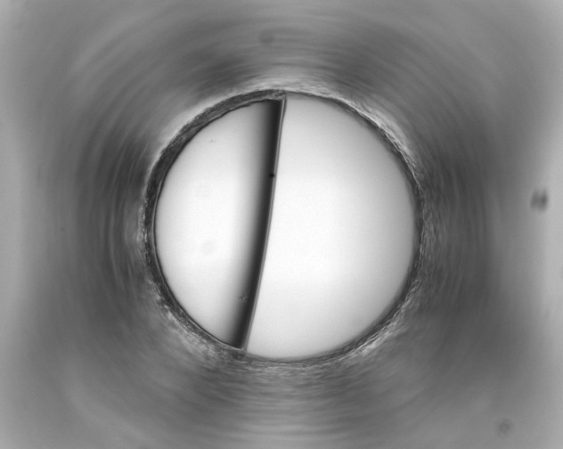 X0000093390880200711011309