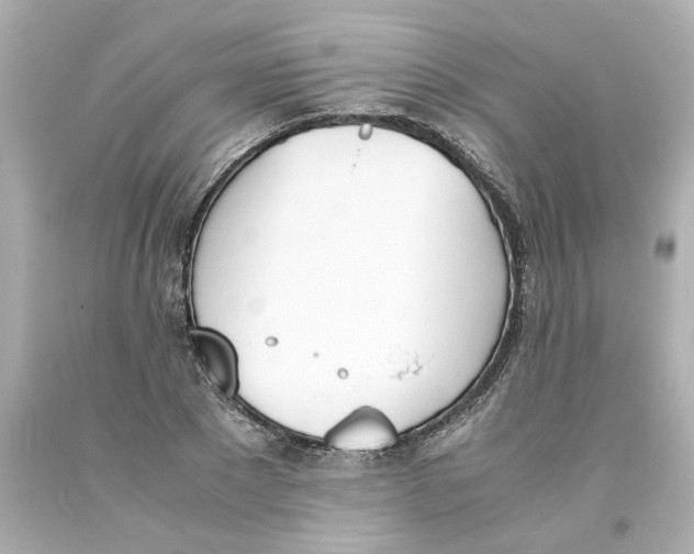 X0000093390881200711011309