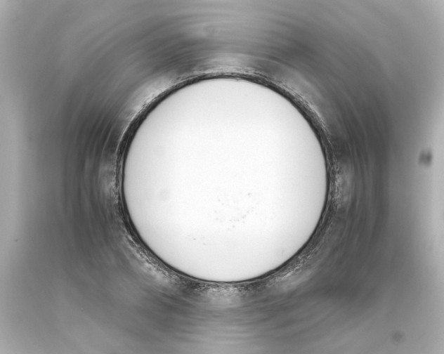 X0000093390882200711011309