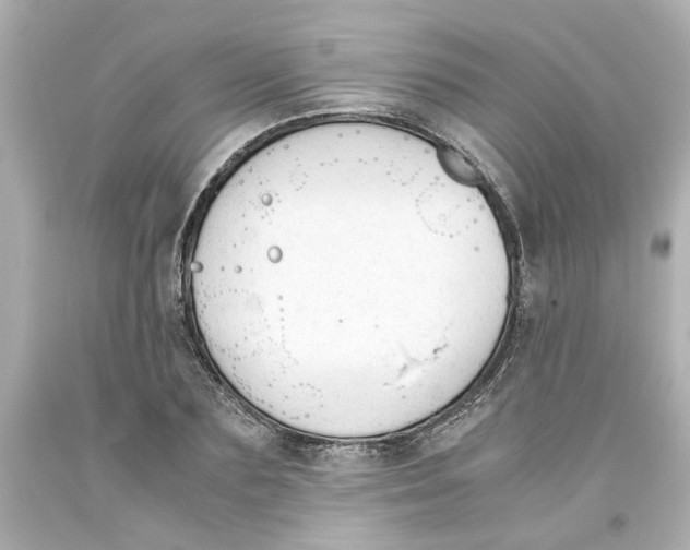 X0000093390883200711011308