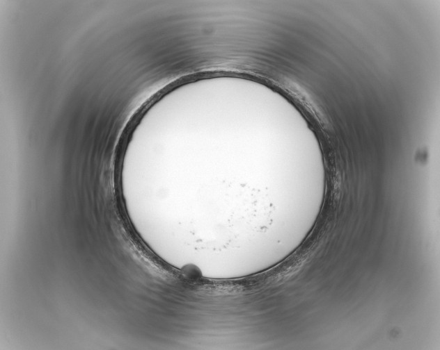 X0000093390884200711011308