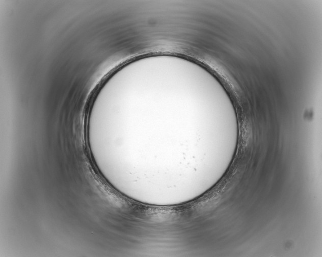 X0000093390886200711011308