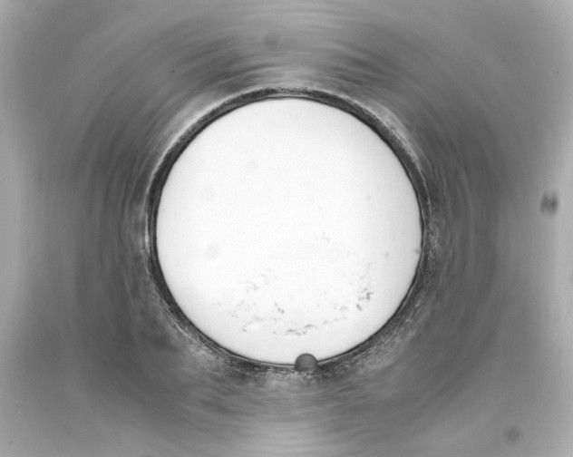 X0000093390887200711011308