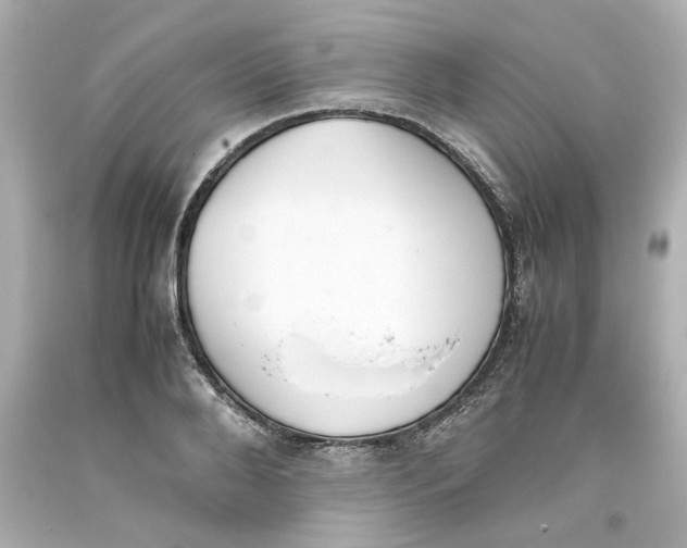 X0000093390888200711011308