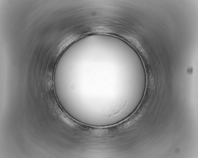 X0000093390889200711011308