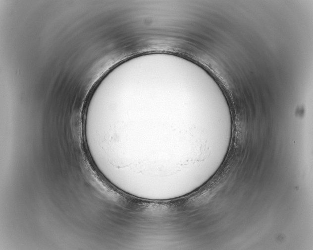 X0000093390890200711011308