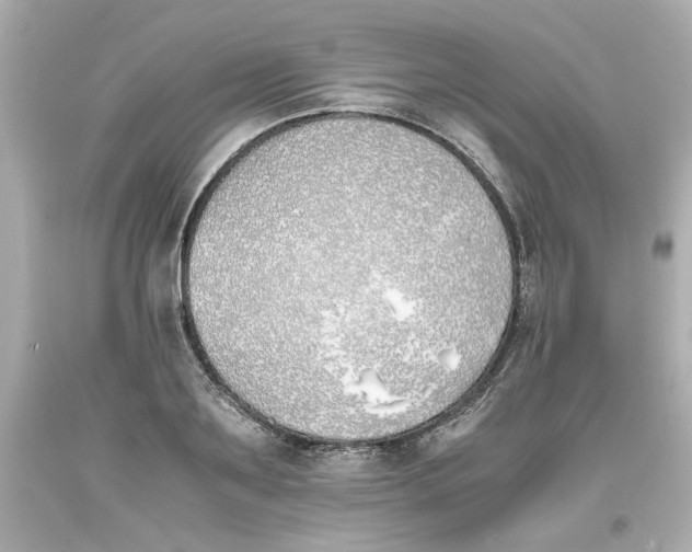 X0000093390891200711011308