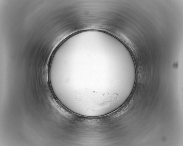 X0000093390892200711011308