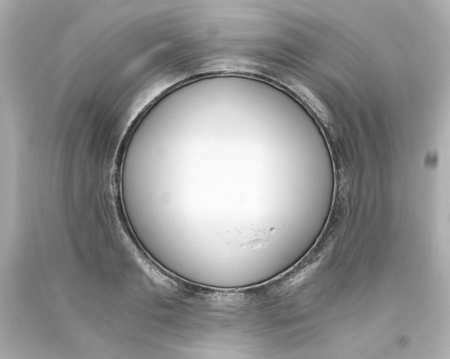 X0000093390893200711011308