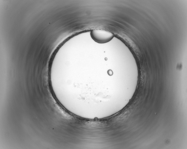 X0000093390894200711011308