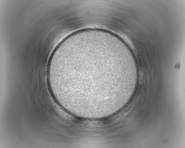 X0000093390895200711011308