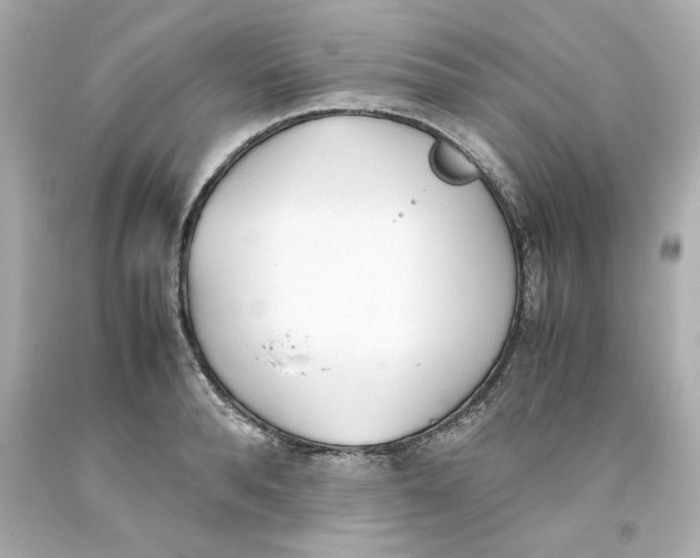 X0000093390896200711011308