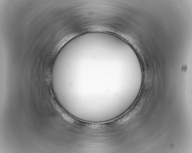 X0000093390897200711011308