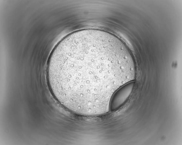 X0000093390899200711011308